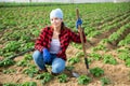 Portrait of girl vegetable grower in family vegetable farm