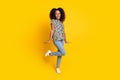 Portrait of glamour young charming woman curly hair in zebra print shirt and jeans dancing like pop star isolated on Royalty Free Stock Photo