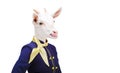 Portrait goat showing tongue in costume stewardess
