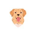 Portrait of golden labrador dog with tongue hanging out flat style Royalty Free Stock Photo