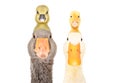 Portrait of goose and duck with gosling and duckling on the head Royalty Free Stock Photo