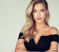Portrait of gorgeous young woman with elegant make up and perfect golden hairstyle. Royalty Free Stock Photo