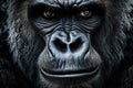 Portrait of a Gorilla with Intence Gaze extreme closeup. Generative AI Royalty Free Stock Photo