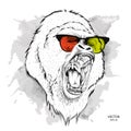 Portrait of the gorillas in the colored glasses. Think different. Vector illustration.