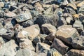 Portrait graffiti art of famous artists, musicians and singers on stones of breakwater in the Santa Cruz de Tenerife. Editorial Royalty Free Stock Photo