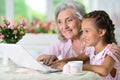 Portrait of grandmother and granddaughter using laptop