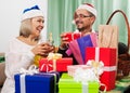 Portrait of grandparents packed gifts