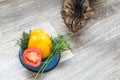 Portrait of a gray cat with a bowl of fresh vegetables Royalty Free Stock Photo