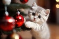 AI generated. Portrait of gray cute kitty cat sitting on the floor and playing with Christmas tree toy balls Royalty Free Stock Photo