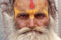 Portrait of the gray-haired Hindu pilgrims