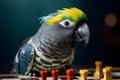 Portrait of gray parrot playing chess