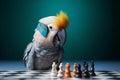 Portrait of gray parrot playing chess