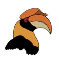 Portrait of Great hornbill on white background Royalty Free Stock Photo