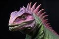 Portrait of a green iguana, isolated on black background Royalty Free Stock Photo