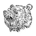 Portrait of Grizzly Bear. head of a wild animal. angry roar of a predator. Badge or emblem Vector illustration. Engraved