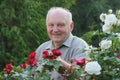 Portrait of grower of roses Royalty Free Stock Photo