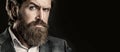 Portrait of handsome bearded man in suit. Male beard and mustache. Sexy male, brutal macho, hipster. Elegant handsome Royalty Free Stock Photo