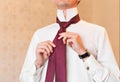 Portrait of handsome businessman in suit putting on necktie indoors close-up Royalty Free Stock Photo