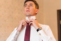 Portrait of handsome businessman in suit putting on necktie indoors Royalty Free Stock Photo