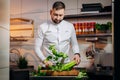 Portrait of handsome chef cooking salad in the kitchen. The cook cuts fresh green leaves of cabbage, spinach, arugula for Royalty Free Stock Photo