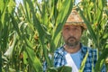Portrait of handsome corn farmer in cultivated maize field