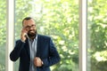 Portrait of handsome mature man in elegant suit talking on mobile phone near window Royalty Free Stock Photo