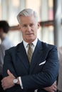 Portrait of handsome senior business man at modern office Royalty Free Stock Photo