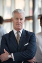 Portrait of handsome senior business man at modern office Royalty Free Stock Photo