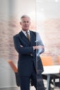 Portrait of handsome senior business man at modern office Royalty Free Stock Photo