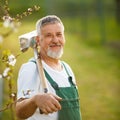 Portrait of a handsome senior man gardening in his garden Royalty Free Stock Photo