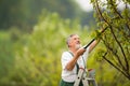 Portrait of a handsome senior man gardening in his garden Royalty Free Stock Photo