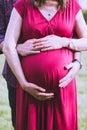 Portrait of a happily married couple expecting a baby Royalty Free Stock Photo