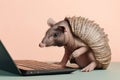 portrait of happy armadillo working on a laptop,