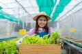 Portrait of happy Asian woman farmer holding basket of fresh vegetable salad in an organic farm in a greenhouse garden, Concept of Royalty Free Stock Photo