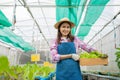 Portrait of happy Asian woman farmer holding basket of fresh vegetable salad in an organic farm in a greenhouse garden, Concept of Royalty Free Stock Photo