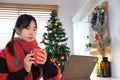 Portrait of happy Asian woman holding cup of coffee , working with computer laptop in living room with Christmas decoration Royalty Free Stock Photo