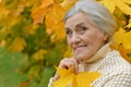 Portrait of a happy beautifil elderly woman posing Royalty Free Stock Photo