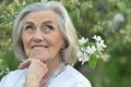 Portrait of happy beautifil elderly woman posing in park Royalty Free Stock Photo