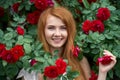 Portrait of a pretty redhead girl dressed in a white light dress on a background of blooming roses. Outdoor Royalty Free Stock Photo