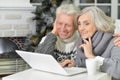 Portrait of happy beautiful senior couple using laptop Royalty Free Stock Photo