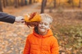 Portrait of happy child boy in orange jacket in autumn park. Fall season and children concept Royalty Free Stock Photo