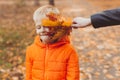 Portrait of happy child boy in orange jacket in autumn park. Fall season and children concept Royalty Free Stock Photo