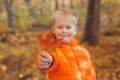 Portrait of happy child boy in orange jacket in autumn park gives maple leaves. Fall season and children concept. Royalty Free Stock Photo