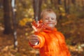 Portrait of happy child boy in orange jacket in autumn park gives maple leaves. Fall season and children concept. Royalty Free Stock Photo