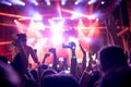 Portrait of happy crowd enjoying at music festival Royalty Free Stock Photo