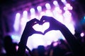 Portrait of happy crowd enjoying at music festival