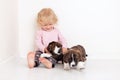 Portrait of a happy curly cute Caucasian little girl at home with a welsh corgi cardigan puppy playing on the floor in the room