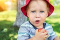 Portrait of happy Cute adorable toddler boy sitting on green grass and eating ripe juicy organic apple in fruit garden under trees Royalty Free Stock Photo