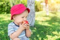 Portrait of happy Cute adorable toddler boy sitting on green grass and eating ripe juicy organic apple in fruit garden under trees Royalty Free Stock Photo
