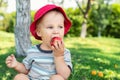 Portrait of happy Cute adorable toddler boy sitting on green grass and eating ripe juicy organic apple in fruit garden under trees Royalty Free Stock Photo